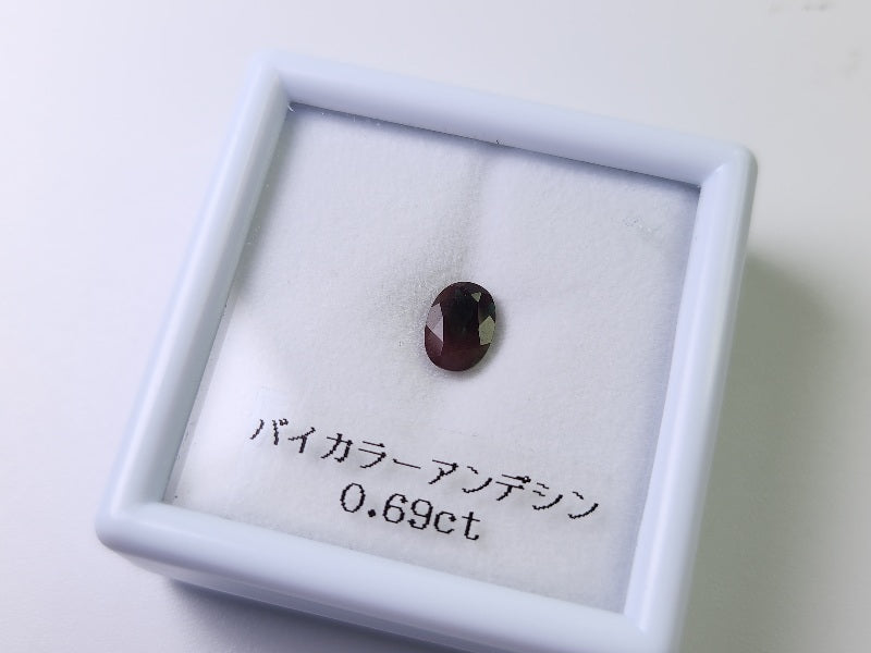 0504-5 バイカラーアンデシン 0.69ct