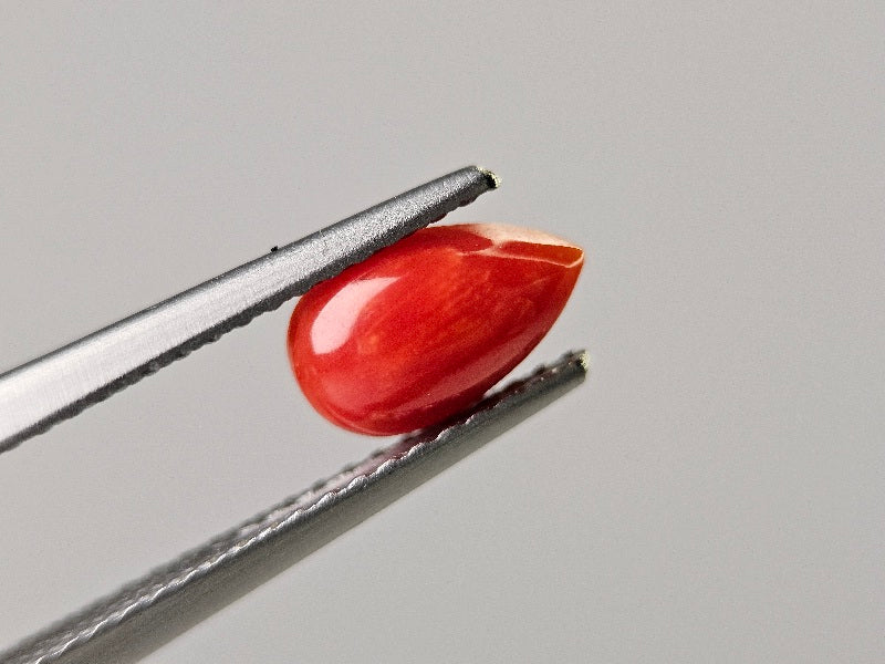 SNG-21 珊瑚 0.76ct – 東洋ルース公式オンラインショップ