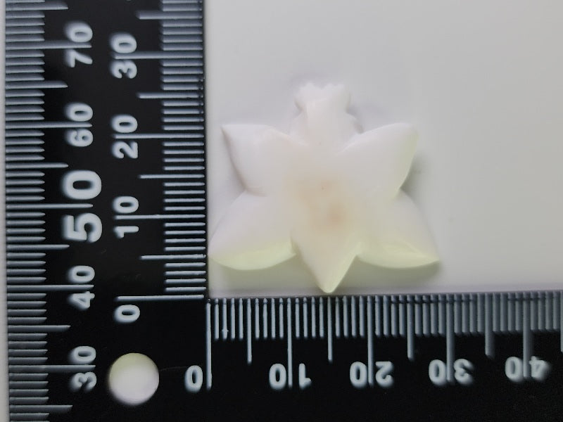 0933-1 コンクシェル 16.20ct