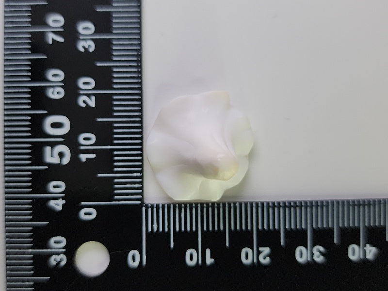 0933-2 コンクシェル 11.49ct