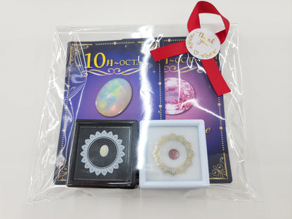 【追加募集】宝石たちと紡ぐ12ヶ月[誕生石サブスクリプション♪申込期間：11/14(金)12時～12/15(月)12時]