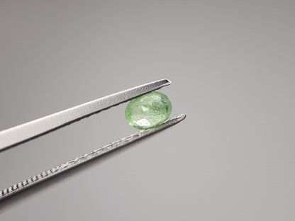 0003-20　コーネルピン　0.21ct