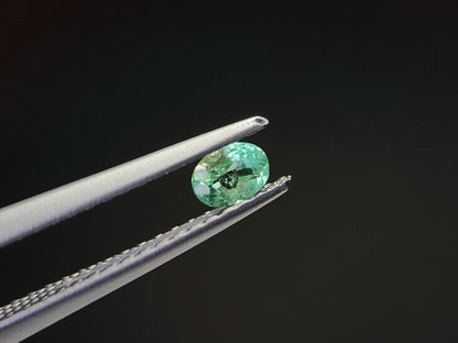 0003-29　コーネルピン　0.17ct