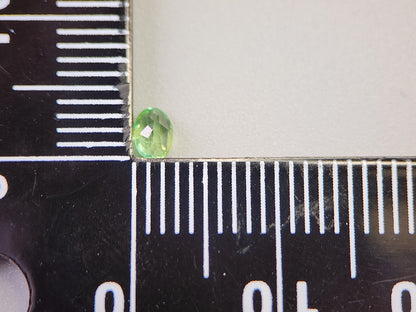 0003-29　コーネルピン　0.17ct