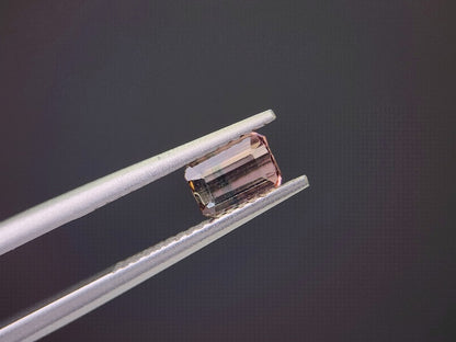 0879-24　トルマリン　0.74ct