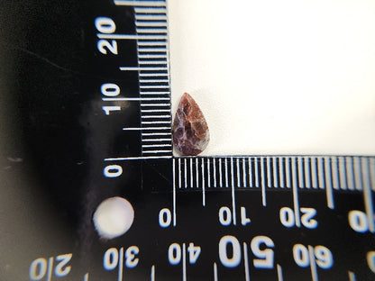 0249　アイオライトサンストーン　1.24ct