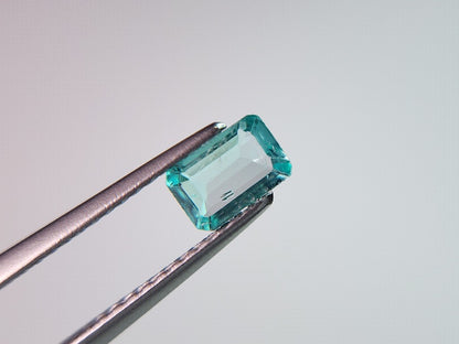 0462-6　アパタイト　0.45ct