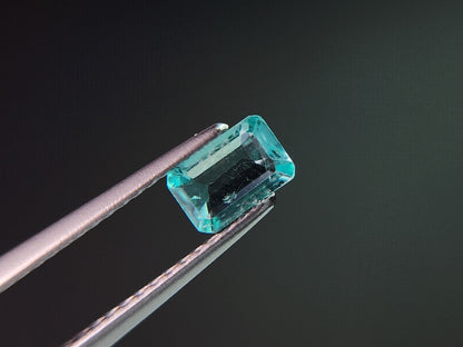 0462-6　アパタイト　0.45ct