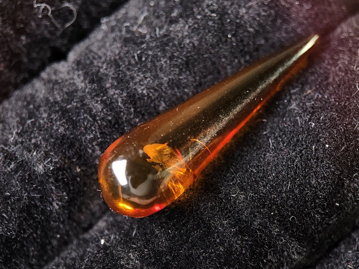 KHK-2　琥珀　3.16ct