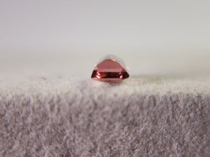 0879-53　トルマリン  0.60ct　