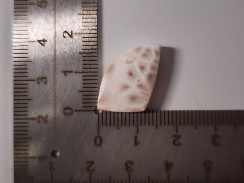 TMS-2　トムソナイト　10.65ct