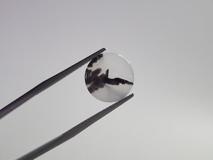DRQ-5　デンドリッククォーツ　6.24ct