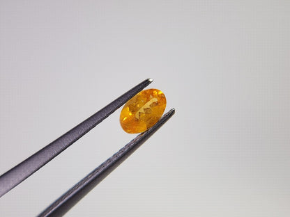 　SPGA-2　スぺサルティンガーネット　0.63ct