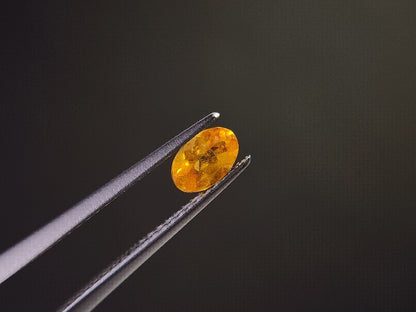 　SPGA-2　スぺサルティンガーネット　0.63ct