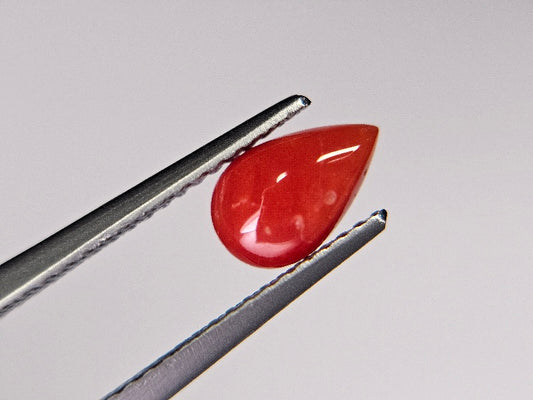 SNG-6　珊瑚　1.01ct