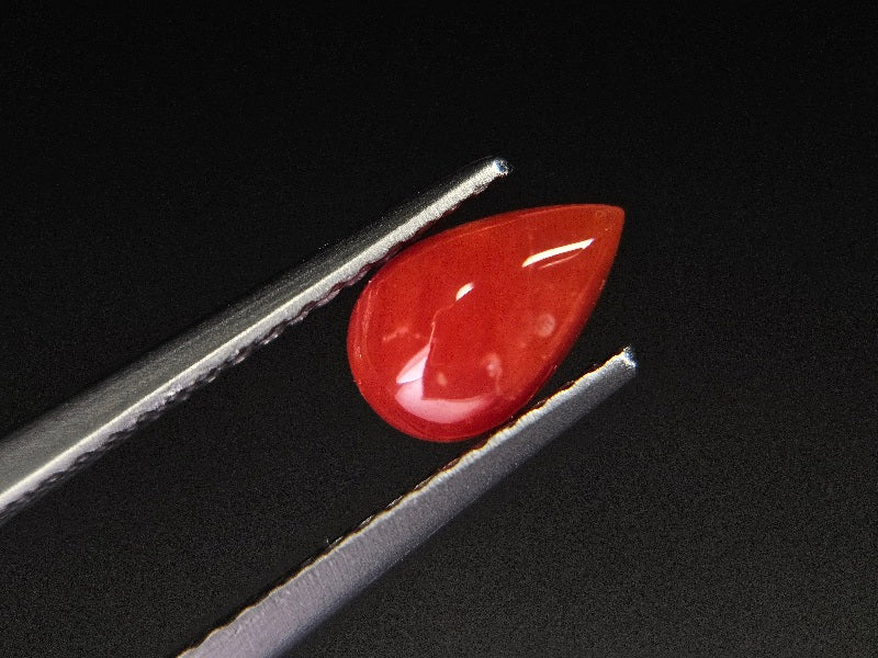 SNG-6　珊瑚　1.01ct