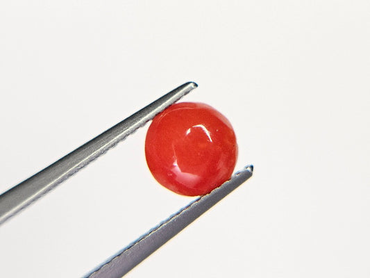 SNG-7　珊瑚　0.96ct