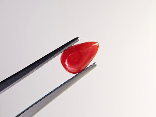 SNG-8　珊瑚　0.81ct