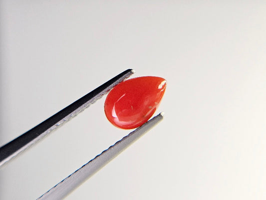 SNG-9　珊瑚　0.71ct