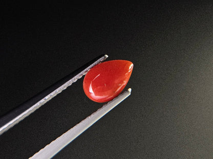 SNG-9　珊瑚　0.71ct