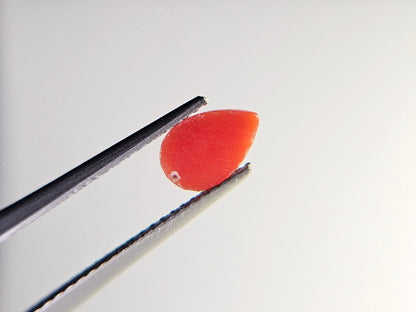 SNG-9　珊瑚　0.71ct