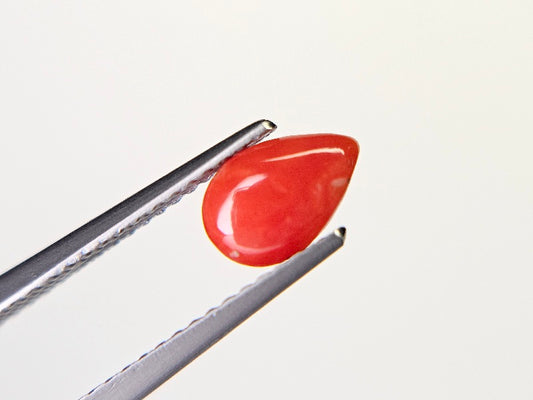 SNG-10　珊瑚　0.70ct