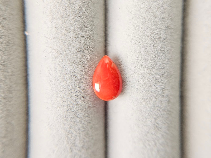 SNG-10　珊瑚　0.70ct