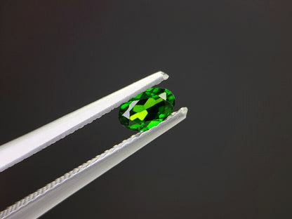 CDOP-2　クロムダイオプサイト　0.27ct