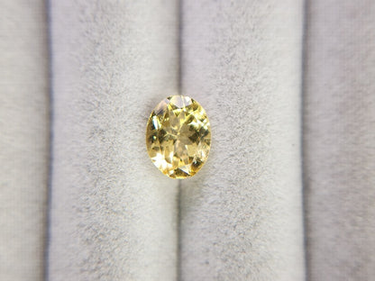 ye-AP-11　イエローアパタイト　1.45ct