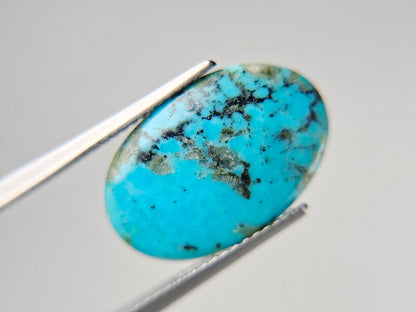 TRQ-8　ターコイズ　2.98ct