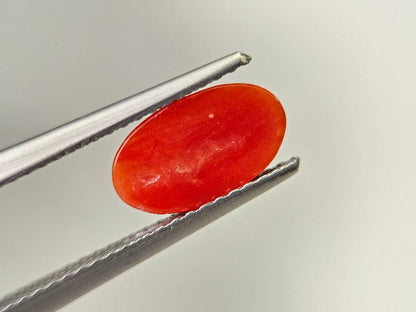 SNG-19　珊瑚　0.85ct