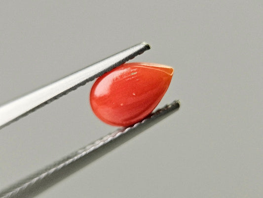 SNG-20　珊瑚　0.79ct