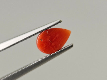 SNG-20　珊瑚　0.79ct
