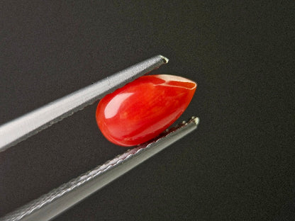 SNG-21　珊瑚　0.76ct