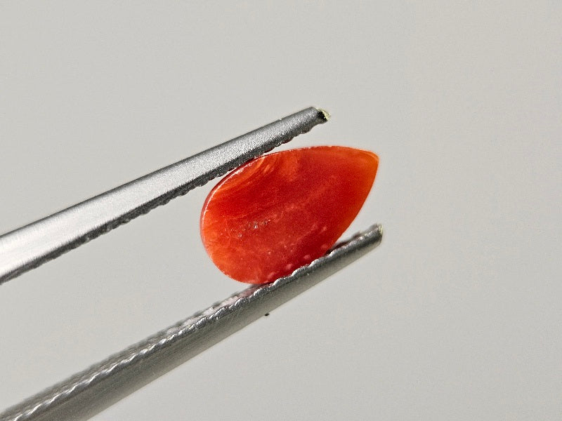 SNG-21 珊瑚 0.76ct – 東洋ルース公式オンラインショップ
