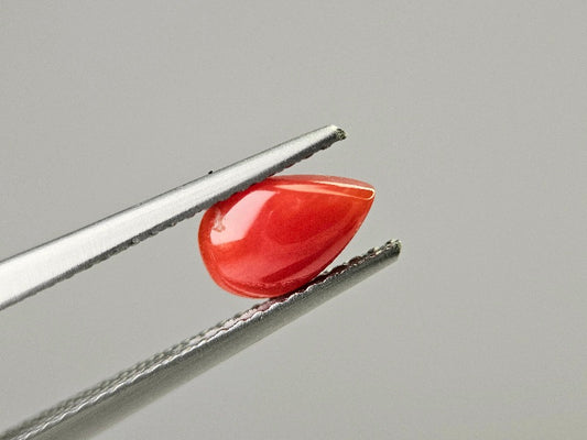 SNG-22　珊瑚　0.75ct
