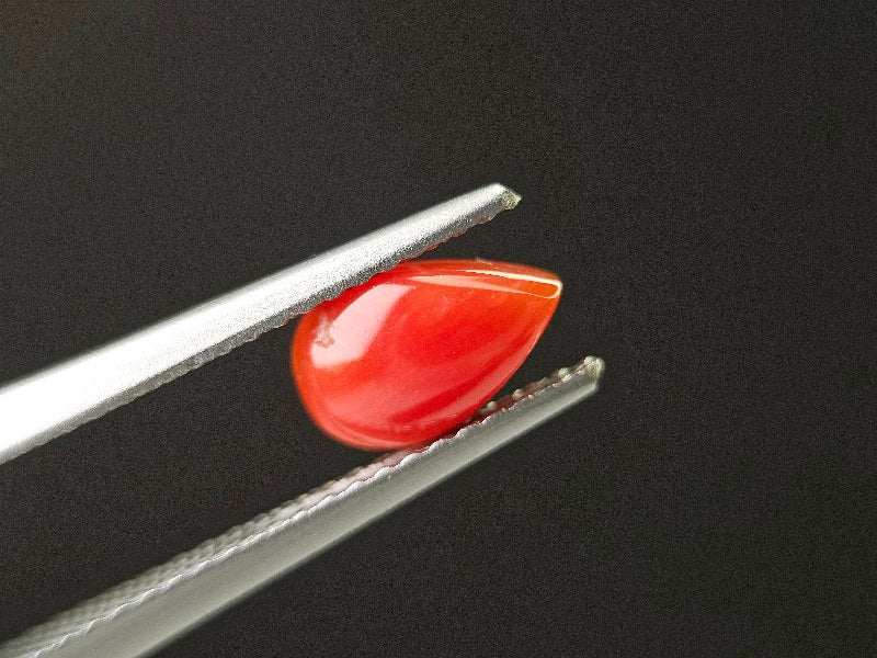 SNG-22　珊瑚　0.75ct