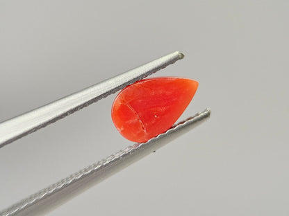 SNG-22　珊瑚　0.75ct