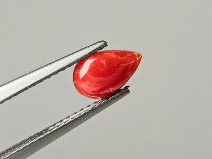 SNG-23　珊瑚　0.73ct