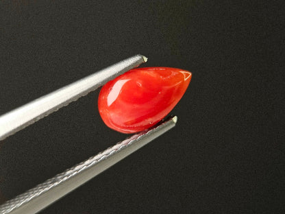 SNG-23　珊瑚　0.73ct