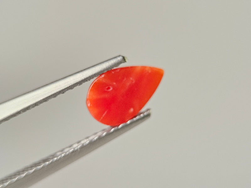 SNG-23　珊瑚　0.73ct