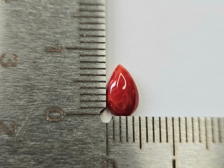 SNG-23　珊瑚　0.73ct