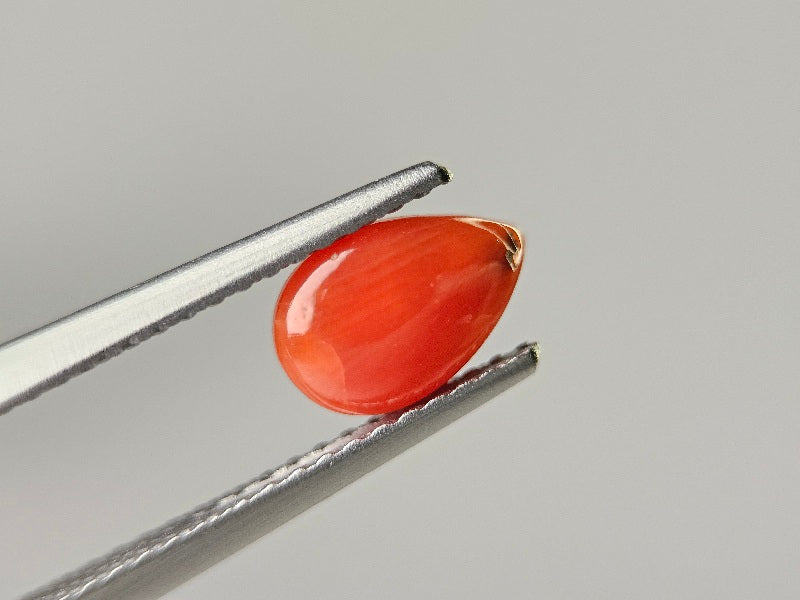 SNG-24　珊瑚　0.72ct