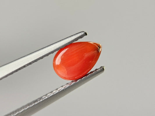 SNG-24　珊瑚　0.72ct