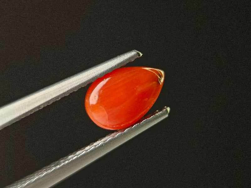 SNG-24　珊瑚　0.72ct