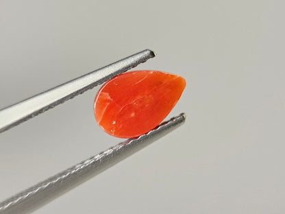 SNG-24　珊瑚　0.72ct