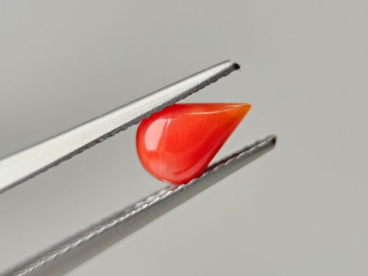 SNG-25　珊瑚　0.71ct