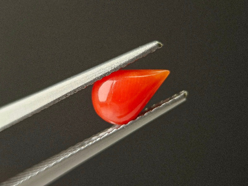 SNG-25　珊瑚　0.71ct