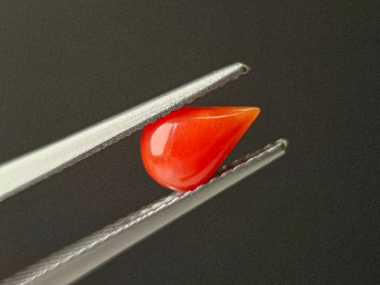 SNG-25　珊瑚　0.71ct