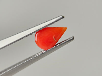SNG-25　珊瑚　0.71ct
